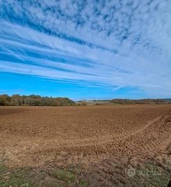 Azienda agricola 360 ha Siena