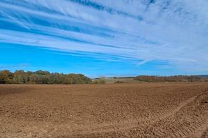 Azienda agricola 360 ha Siena
