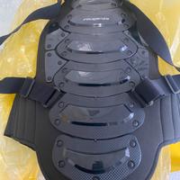 Paraschiena equitazione