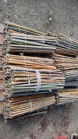 100 Canne picchetti in Bambi