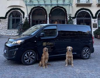 citroen Jumpy spacetourer