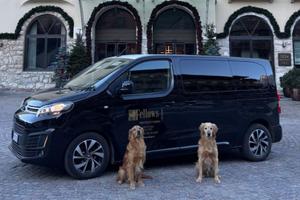 citroen Jumpy spacetourer