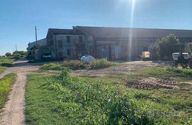 RG 1467/2024 Tribunale Verona