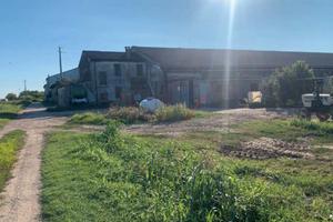 RG 1467/2024 Tribunale Verona