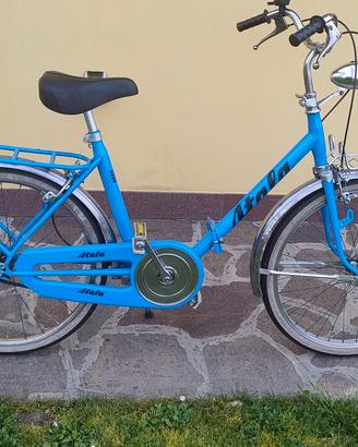 bici pieghevole