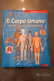 libro  corpo umano 