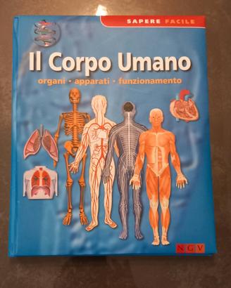 libro  corpo umano 