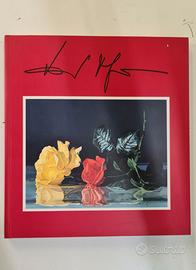 DARIO MANINI - Edizioni AR.CO.IT