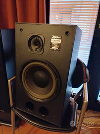 Diffusori Bose Interaudio 4000XL