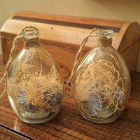 Piccole lanterne con luci