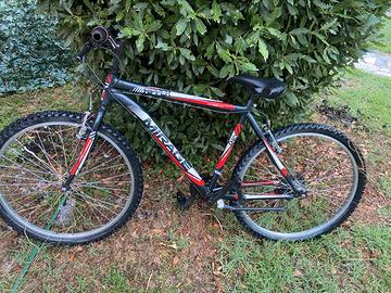 Mtb 22 pollici