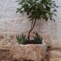 Antica pila in pietra