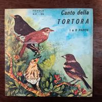 45giri Il Canto della Tortora