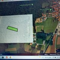 Terreno boschivo agrate conturbia (no)