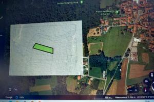 Terreno boschivo agrate conturbia (no)