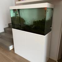 Acquario dolce 200 litri