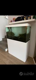 Acquario dolce 200 litri