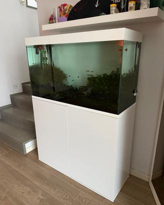 Acquario dolce 200 litri
