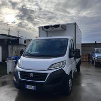 Fiat Ducato Frigo