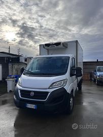 Fiat Ducato Frigo
