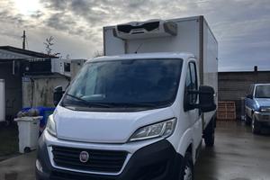 Fiat Ducato Frigo