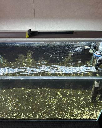 Acquario 60 litri ADA