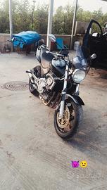 Honda Hornet 