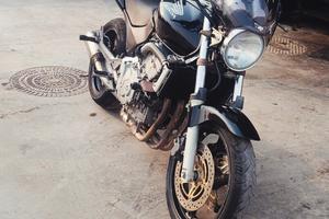 Honda Hornet 
