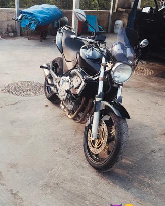 Honda Hornet 