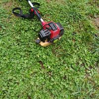 decespugliatore 53cc