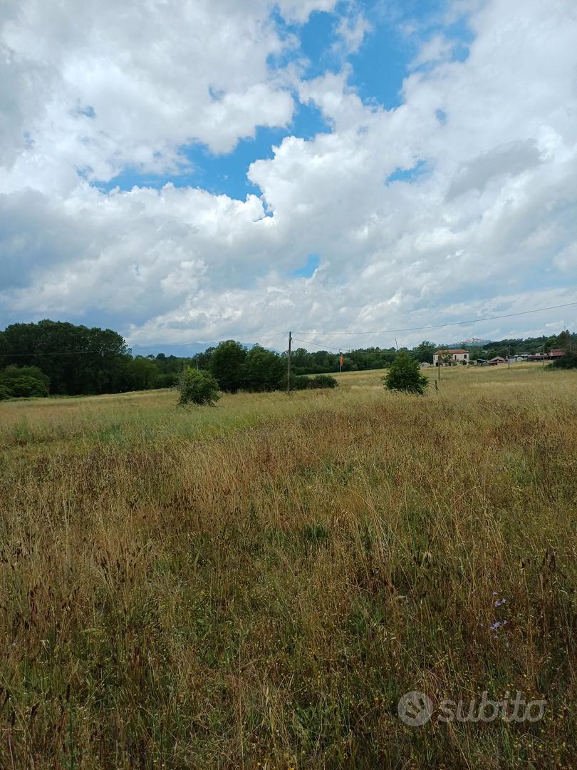 Terreno agricolo pianeggiante con pozzo - Pofi (FR - Vista 2