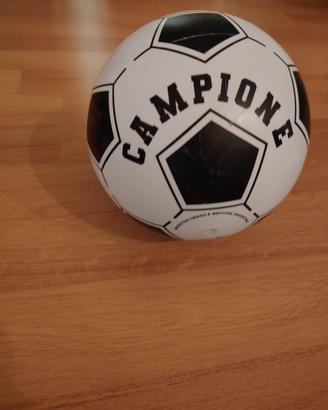 palla da calcio. 