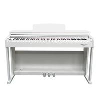 ECHORD DPX100 Satin White - ESPOSTO NEGOZIO