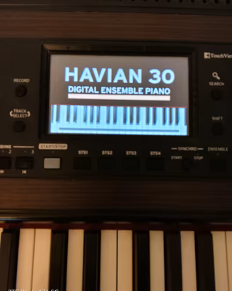 Pianoforte arranger KORG HAVIAN 30+ borsa Torino 