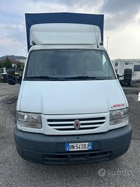 Renault Mascotte Centinato