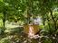 Immagine 29