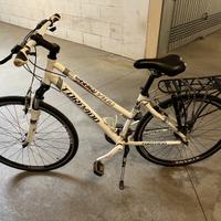 City bike da donna
