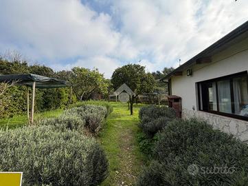 TER. AGRICOLO A NAPOLI