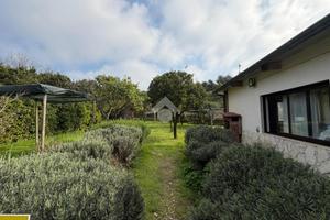 TER. AGRICOLO A NAPOLI