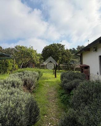 TER. AGRICOLO A NAPOLI