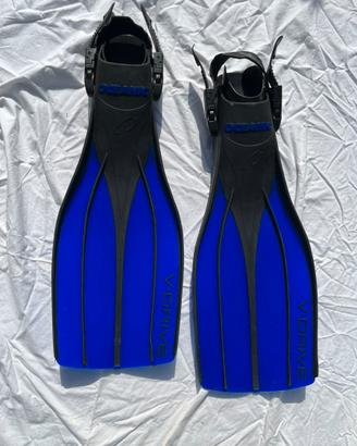 Pinne ara oceanic