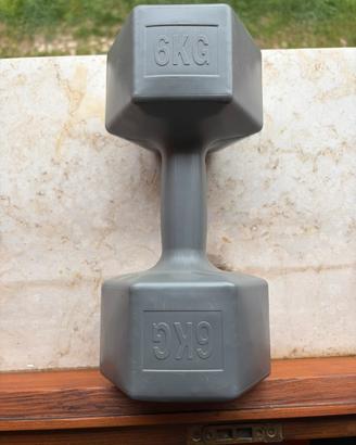 Manubrio 6 KG l’uno