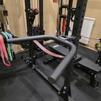 Dip Bars  ATX + Glute Ham Roller