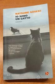 Natsume Sōseki: Io sono un gatto
