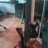 Basso elettrico fretless 5 corde