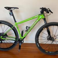 Cannondale 29 m fsi