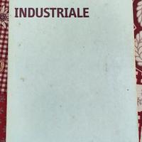 Economia industriale