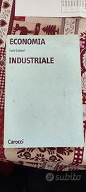 Economia industriale