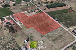 Terreno agricolo 1,5 HA con doppio fronte strada