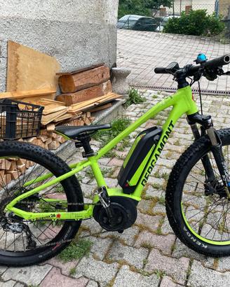 biciclette elettriche
